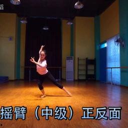 沈丘成人舞蹈视频大全教学