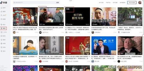 成人变色亮片视频网站,光影交织的私密世界