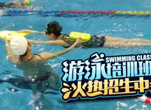 成人游泳班上课视频,成人游泳班精彩瞬间回顾