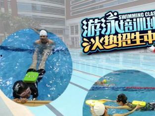 成人游泳班上课视频,成人游泳班精彩瞬间回顾