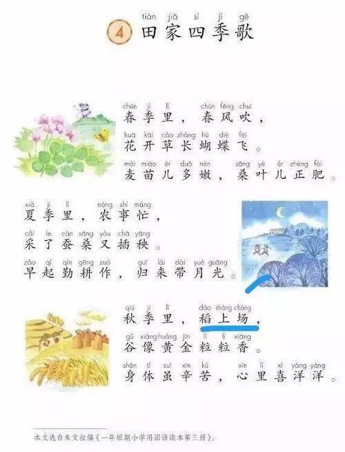 成人语文拼音教学视频,成人语文学习的便捷指南
