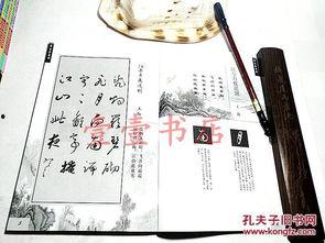 草书成人书法练字视频,轻松入门，领略书法艺术之美
