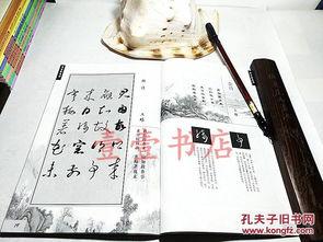 草书成人书法练字视频,轻松入门，领略书法艺术之美