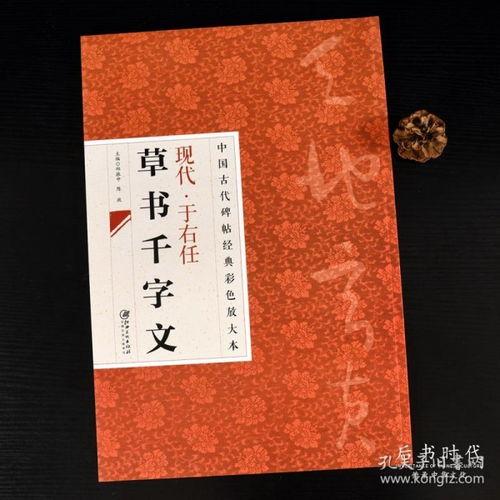 草书成人书法练字视频,轻松入门，领略书法艺术之美