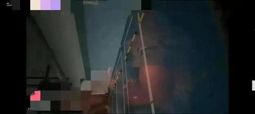 成人恶煞的视频大全集,惊悚视频大全集深度解析