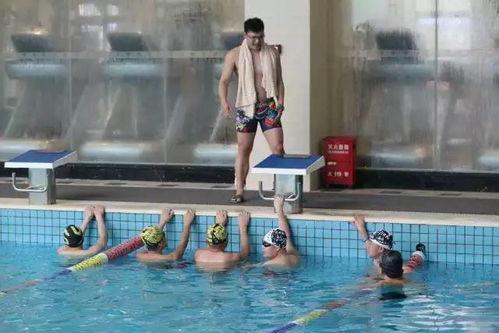 海边成人游泳视频大全,精选海边成人游泳教学视频集锦