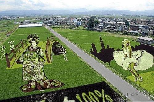 种地变成人的视频,种地变人的神奇之旅