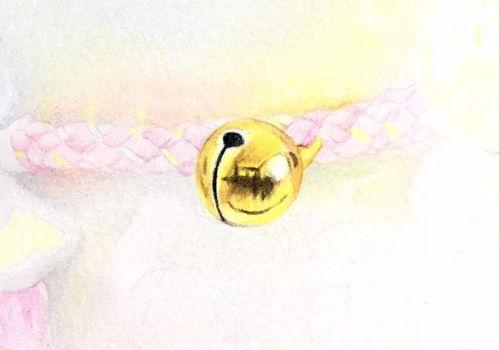 成人画画简单教程大全视频,跟随视频教程，掌握成人绘画基础技巧