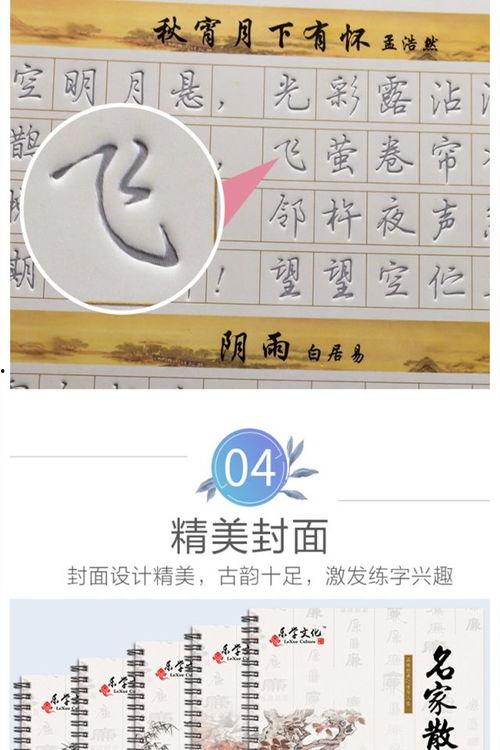 成人练行楷书步骤视频