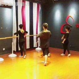 广西民族成人舞蹈视频大全,视频大全中的民族韵律之旅