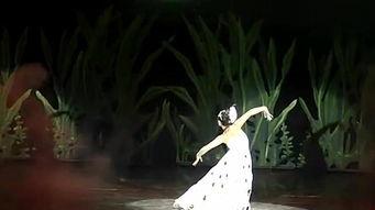 孔雀成人舞蹈视频,探寻成人舞蹈的魅力之旅