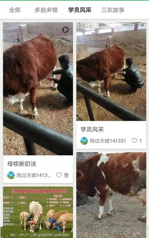 羊变成人的视频播放,揭秘神秘视频背后的科学奥秘