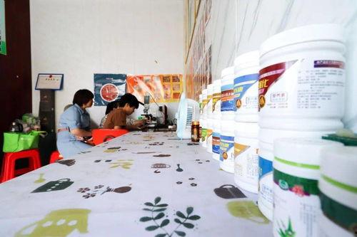 成人体检验店视频,一场关于健康的深度探索之旅