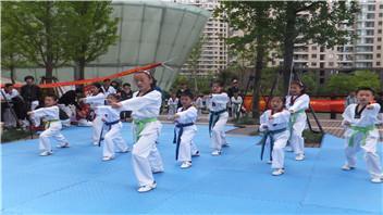 成人抬拳教学视频全集,从入门到精通的拳法修炼指南