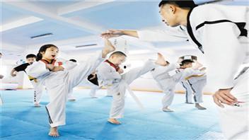 成人抬拳教学视频全集,从入门到精通的拳法修炼指南