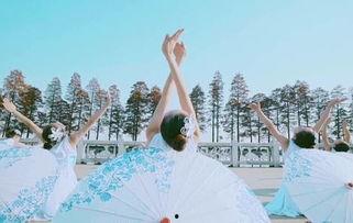 中国舞成人舞讲解视频,领略古典韵味，舞动身心和谐