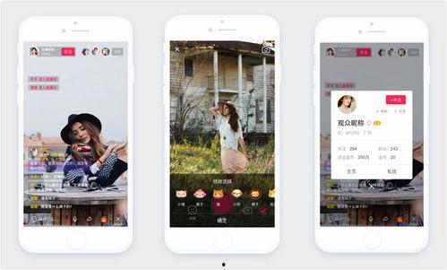 榴莲视频app成人版,探索成人娱乐新境界