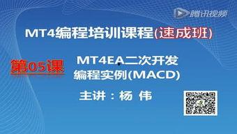 成人编程课视频讲解教程,轻松入门，掌握编程技能