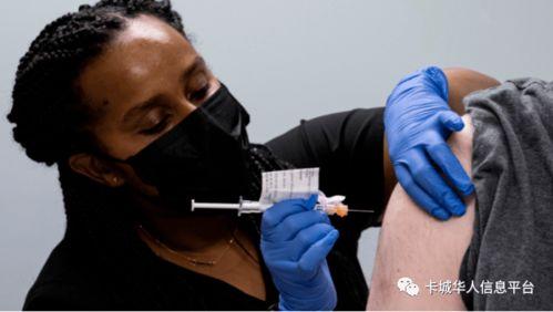 成人裤裆加针视频,专业缝纫教程大公开