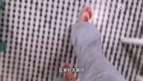 成人踏水视频,揭秘成人踏水技巧与魅力