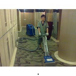 成人清洗小花园视频,视频教学助您焕然一新