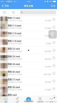 成人网络视频美颜,打造完美虚拟形象的秘密武器