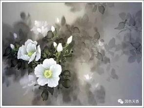 成人朗诵木兰花视频,深情演绎，古韵悠长