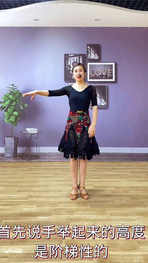 成人拉丁舞视频全集教学,跟随成人拉丁舞视频全集，轻松掌握舞步与技巧